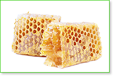 propolis